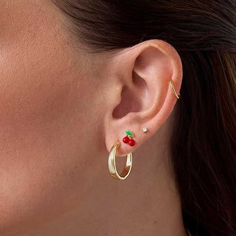 2pcs Cartilage Earrings Stud f - đánh giá và giá Body Jewelry Surgical Steel